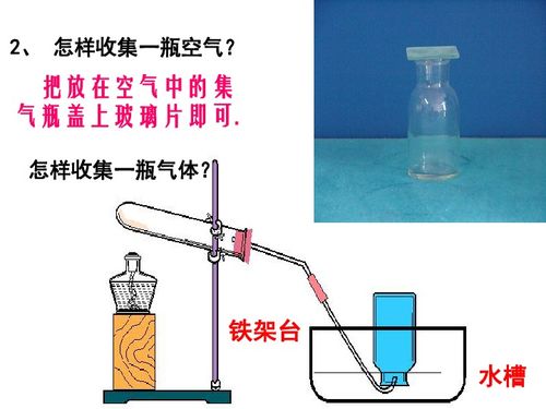 探究人体吸入与呼出气体的成分差异及其生理意义